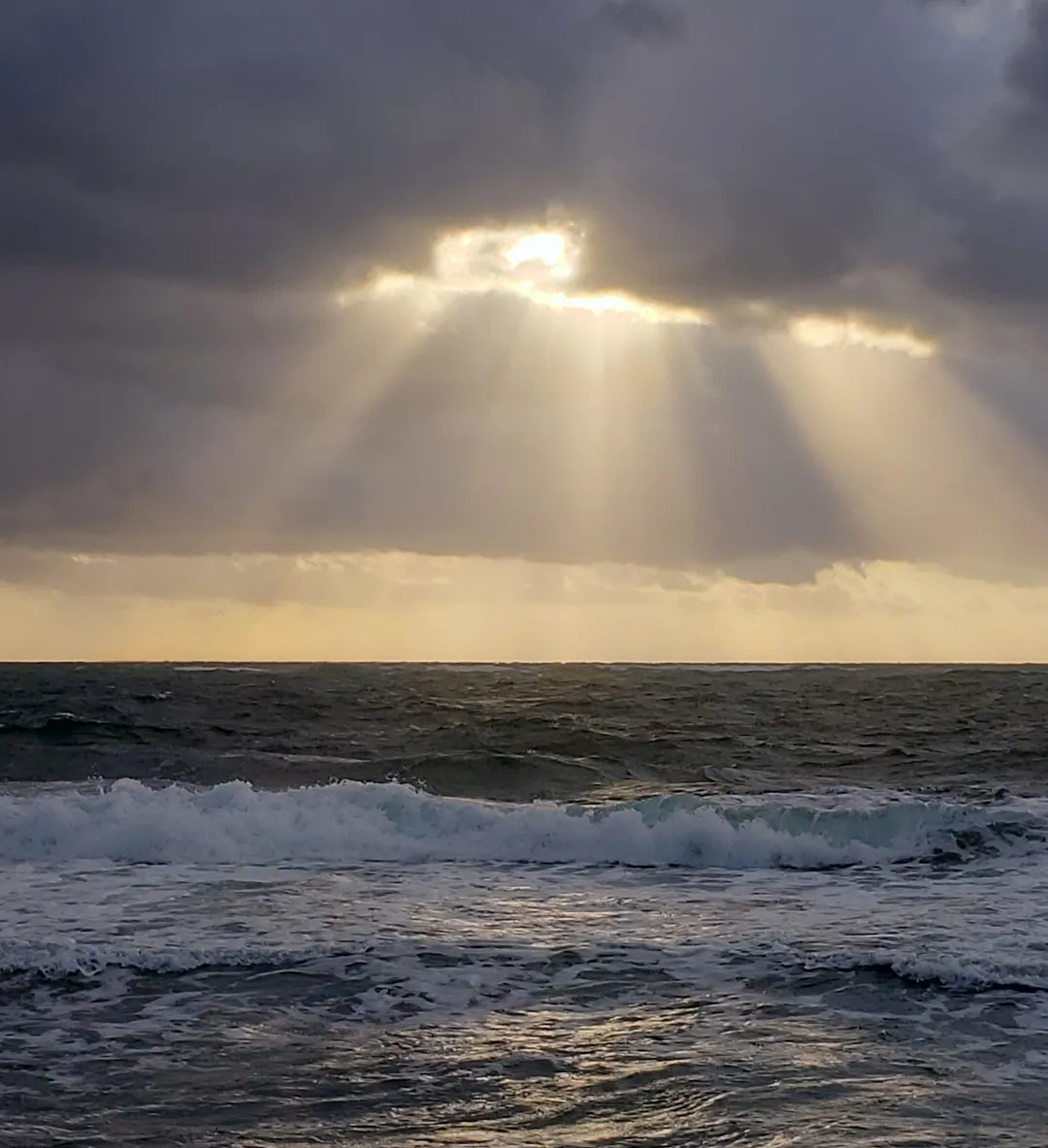 Meditating on God’s Beauty in the Middle of Chaos